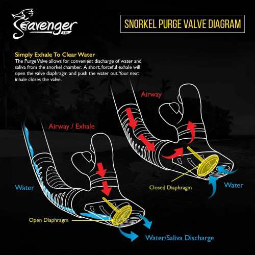 Seavenger-Diving-Snorkel-Trek-Single
