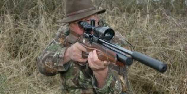 Best Air Rifles 2