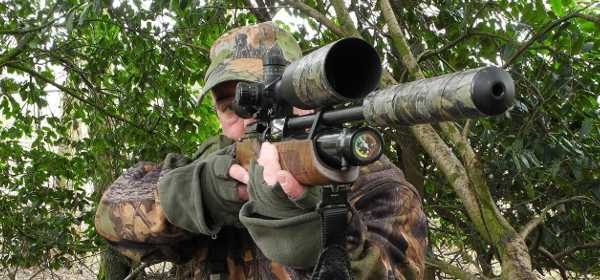 Best Air Rifles