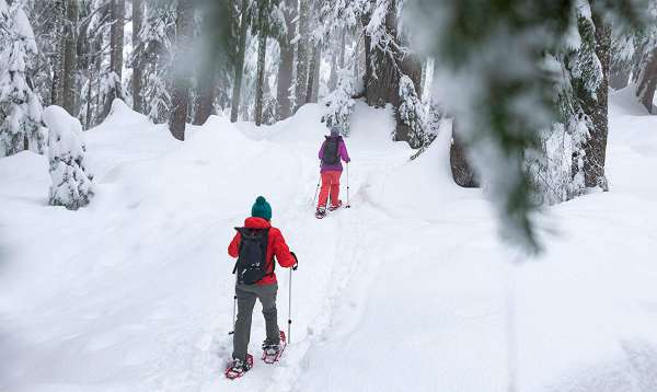 Hiking Snowshoes 