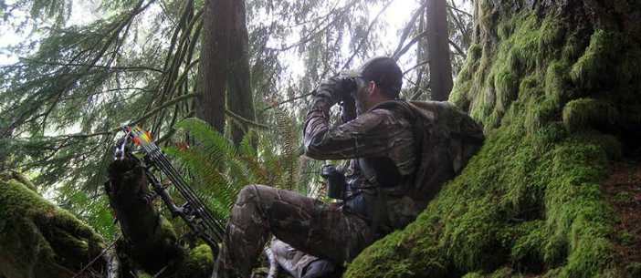 Best Binoculars for Hunting